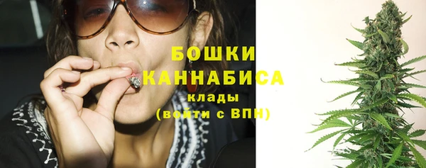 PSILOCYBIN Каменногорск