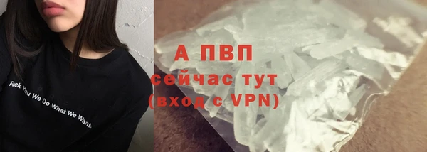 стафф Каменск-Шахтинский