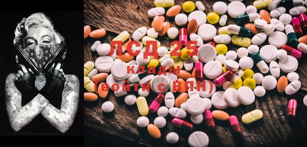 PSILOCYBIN Каменногорск
