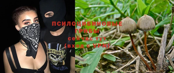 каннабис Каменка