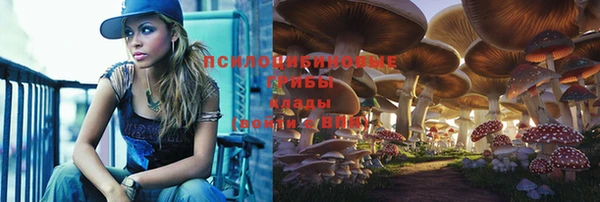 каннабис Каменка