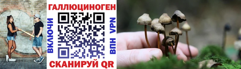 Галлюциногенные грибы мицелий  Южно-Сухокумск 